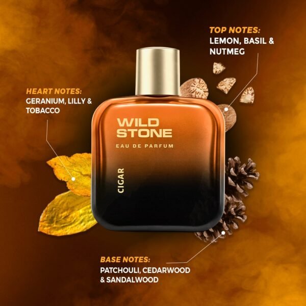 Wild Stone Cigar Eau De Parfum for Men, 100ml