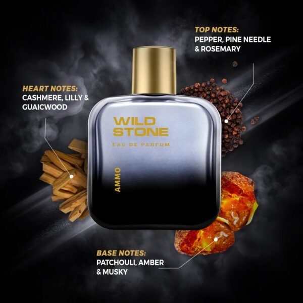 Wild Stone AMMU Eau De Parfum for Men, 100ml - Image 2